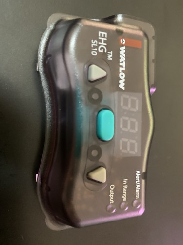 Watlow ehg sl10 temperature - ehg,